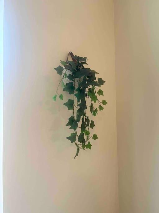 Appartement Noe Centre Ville Toulon Dış mekan fotoğraf
